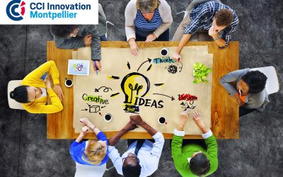 INNOVATION 2.0 : Matérialisez et testez rapidement vos idées